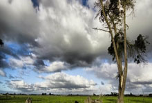 外伤非白癜风病因是什么,外伤型白癜风能治愈吗