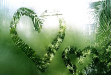 外伤非白癜风病因是什么,外伤型白癜风能治愈吗