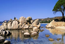 白癜风类型判断方法有哪些依据,白癜风确认方法